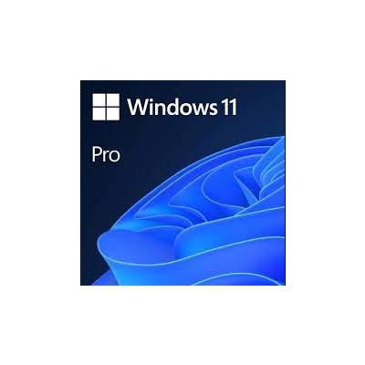 MICROSOFT WINDOWS 11 PRO - ESD FQC-10572